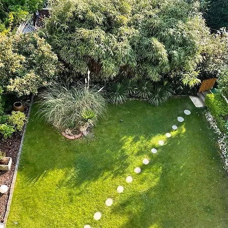 Апартаменты George